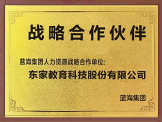 蓝海集团战略合作伙伴